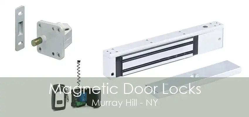 Magnetic Door Locks Murray Hill - NY