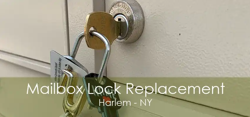 Mailbox Lock Replacement Harlem - NY