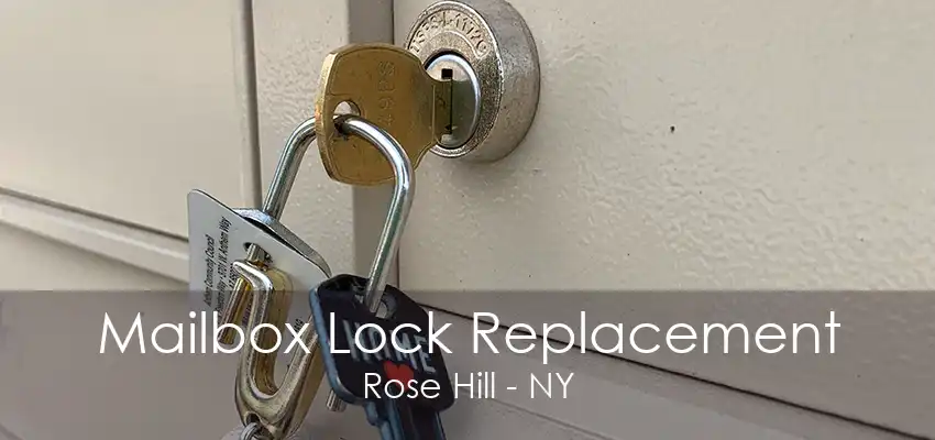 Mailbox Lock Replacement Rose Hill - NY