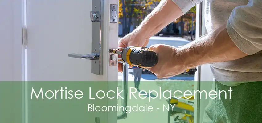 Mortise Lock Replacement Bloomingdale - NY