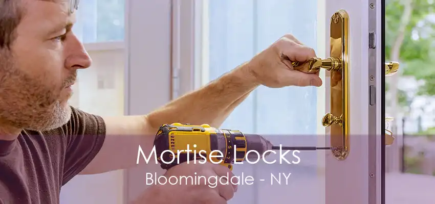 Mortise Locks Bloomingdale - NY