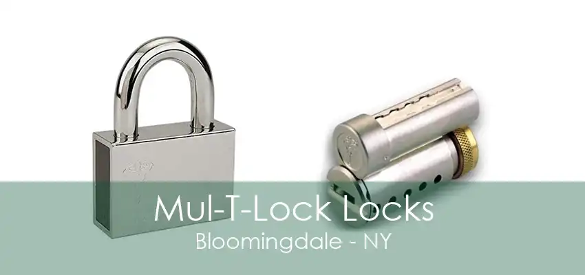 Mul-T-Lock Locks Bloomingdale - NY