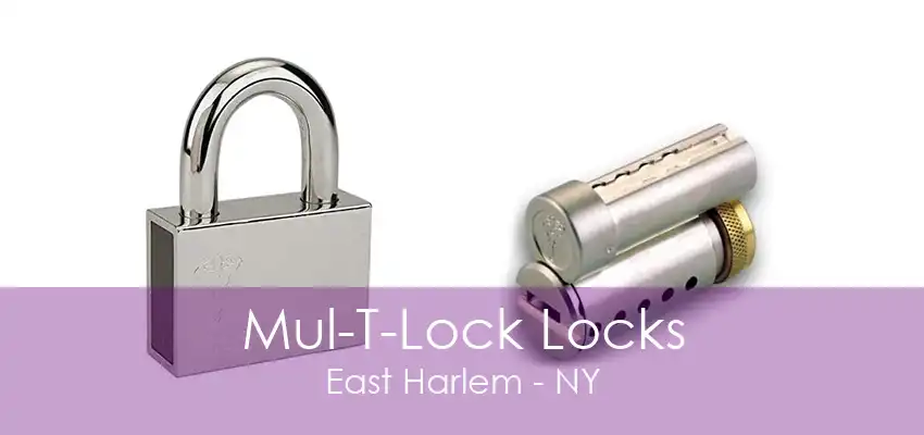 Mul-T-Lock Locks East Harlem - NY