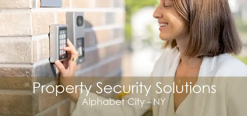 Property Security Solutions Alphabet City - NY