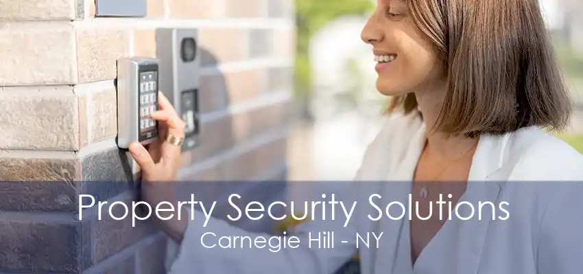 Property Security Solutions Carnegie Hill - NY