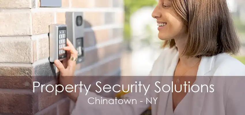 Property Security Solutions Chinatown - NY