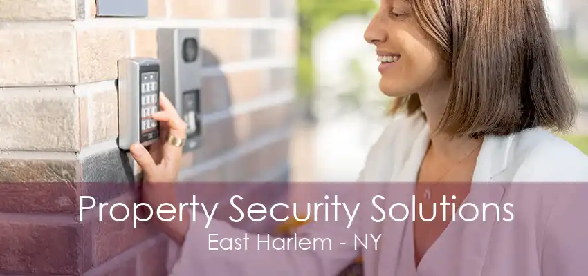 Property Security Solutions East Harlem - NY