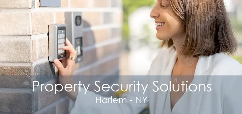 Property Security Solutions Harlem - NY