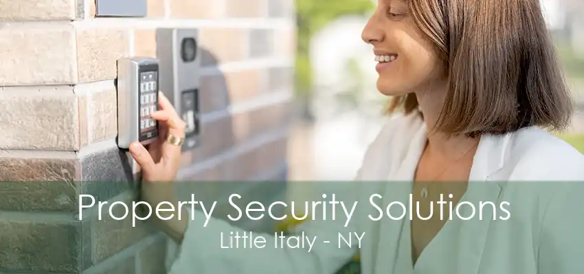 Property Security Solutions Little Italy - NY