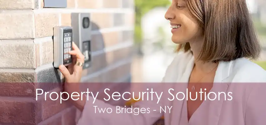 Property Security Solutions Two Bridges - NY