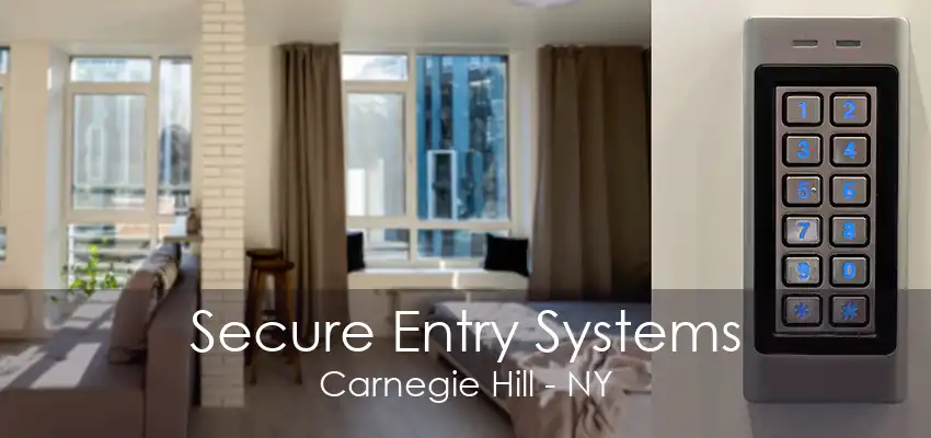 Secure Entry Systems Carnegie Hill - NY