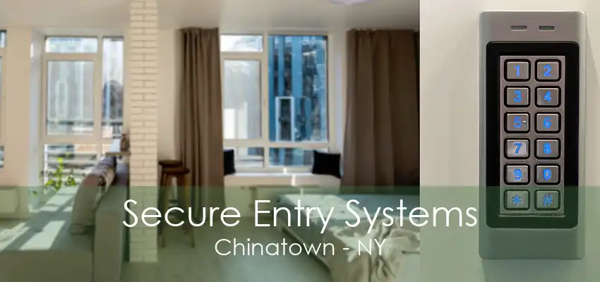 Secure Entry Systems Chinatown - NY