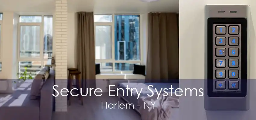 Secure Entry Systems Harlem - NY