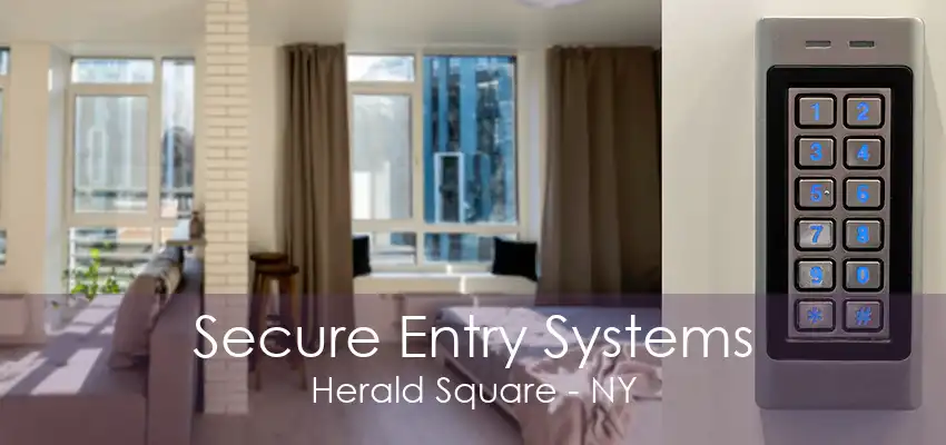 Secure Entry Systems Herald Square - NY