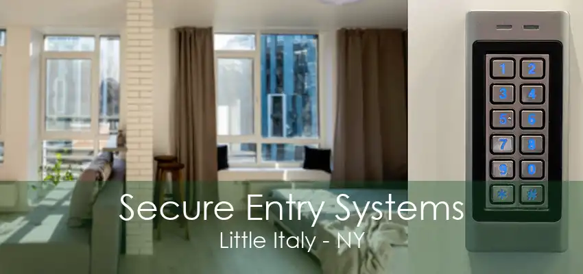 Secure Entry Systems Little Italy - NY