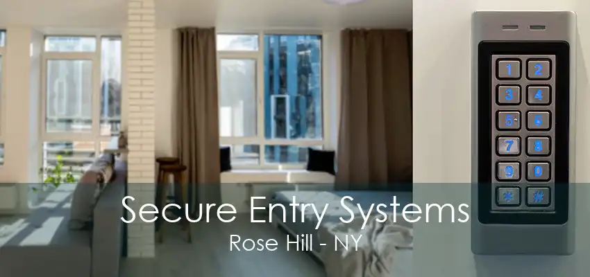 Secure Entry Systems Rose Hill - NY