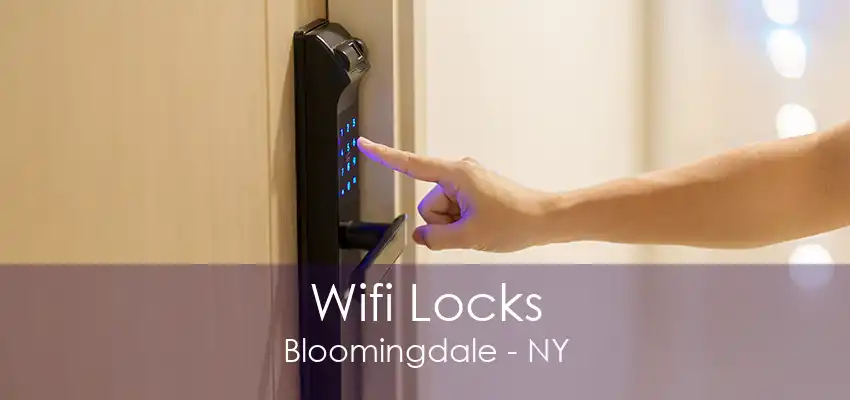 Wifi Locks Bloomingdale - NY